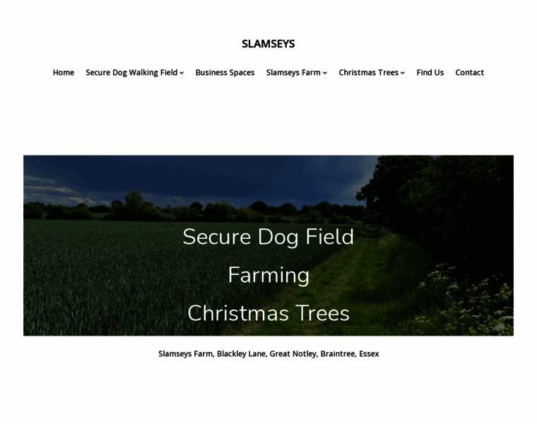 Slamseys.uk thumbnail Slamseys.uk thumbnail