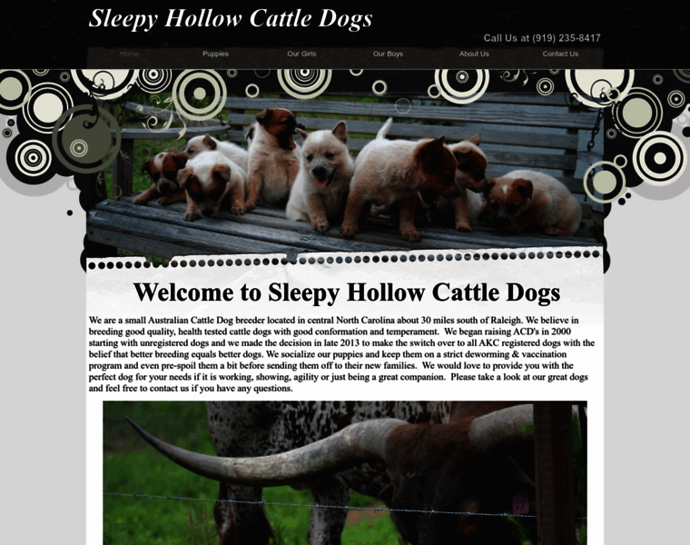 Sleepyhollowcattledogs.com thumbnail