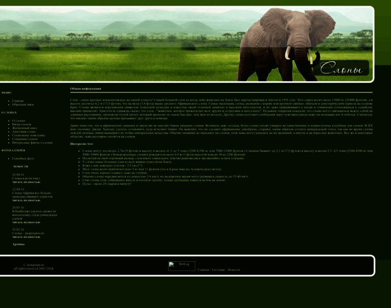 Slonarium.ru thumbnail