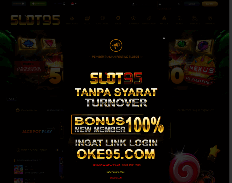 Slot95.org thumbnail