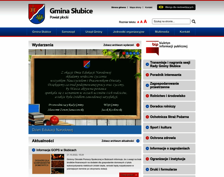 Slubice.org.pl thumbnail
