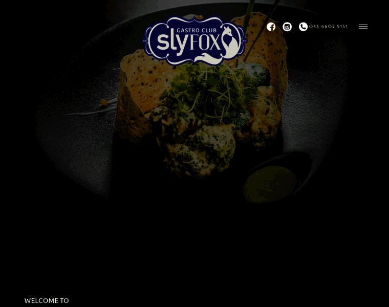 Slyfox.co.in thumbnail