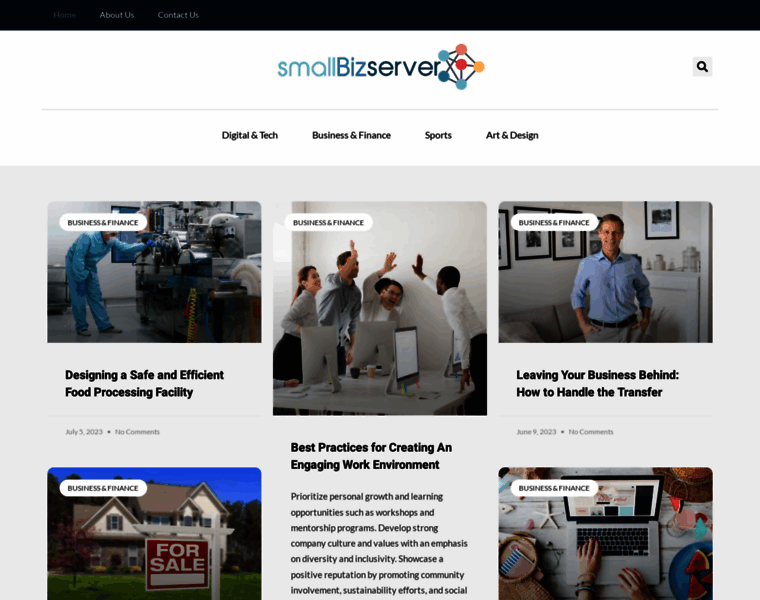 Smallbizserver.net thumbnail