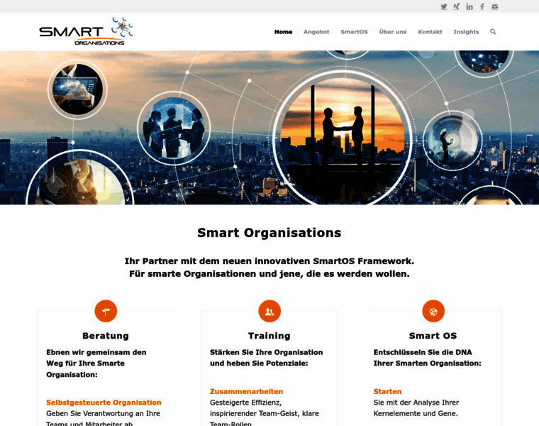 Smart-organisations.com thumbnail
