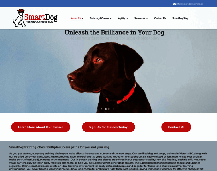 Smartdogtraining.ca thumbnail