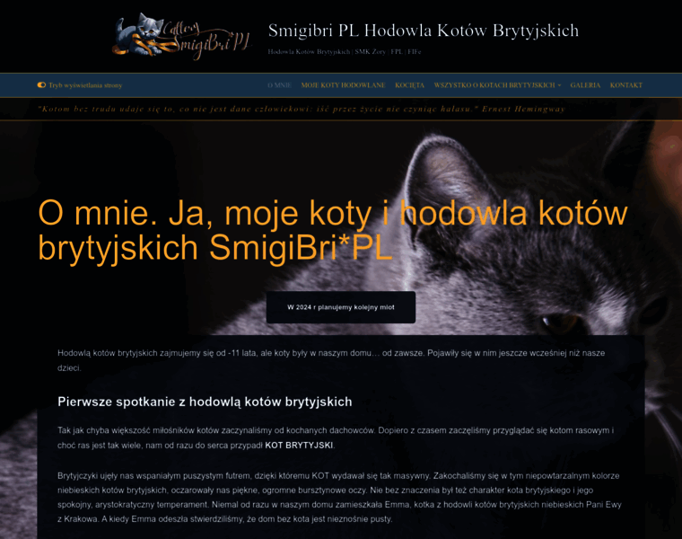 Smigibri.pl thumbnail