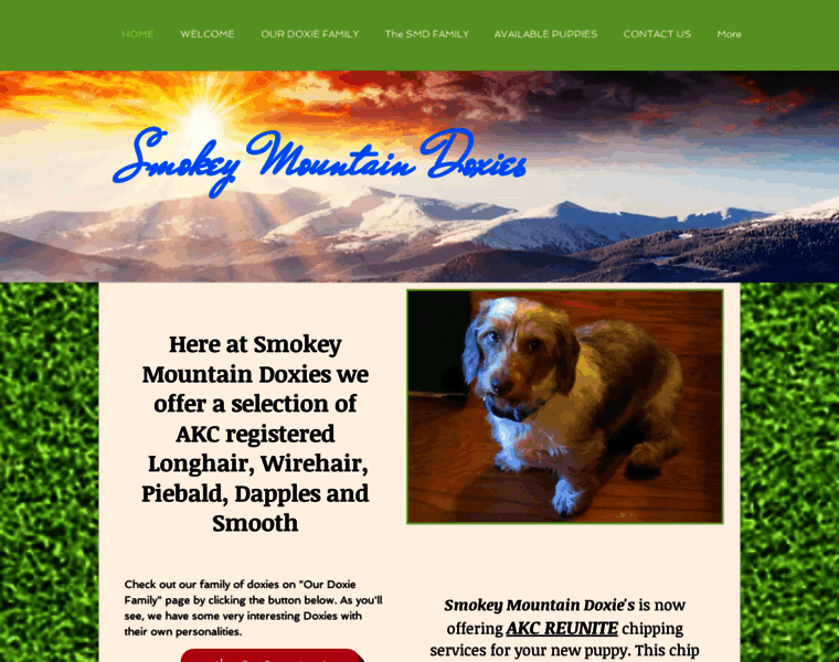 Smokey-mountain-doxies.com thumbnail