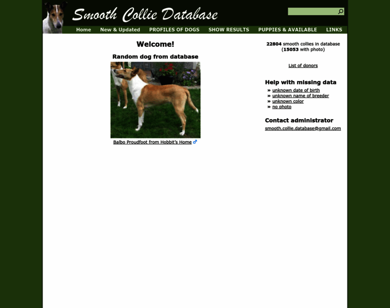 Smooth-collie.net thumbnail