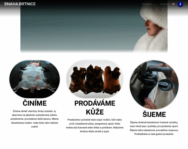 Snaha-brtnice.cz thumbnail