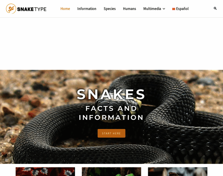 Snaketype.com thumbnail