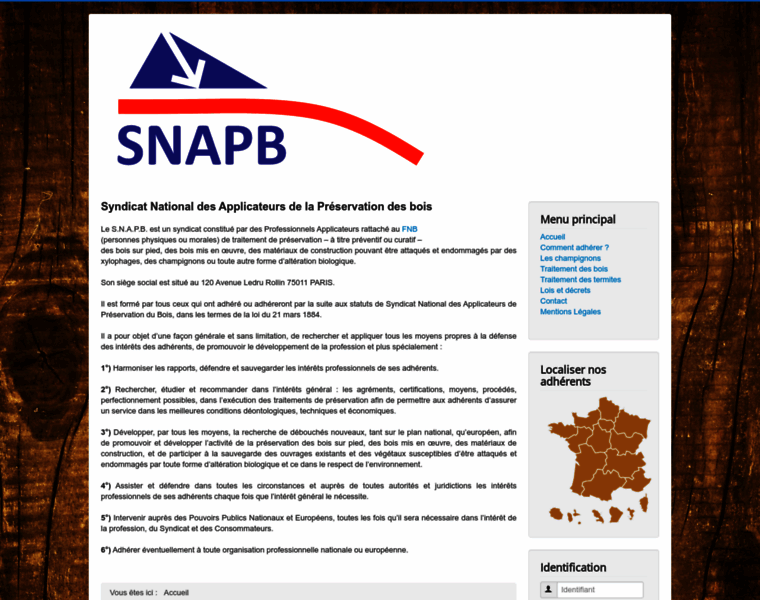 Snapb-traitementdesbois.fr thumbnail