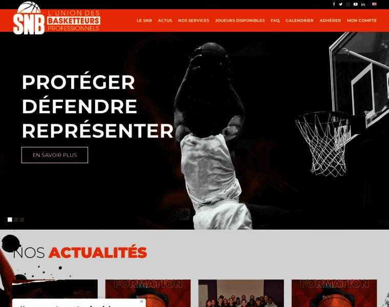 Snbasket.com thumbnail