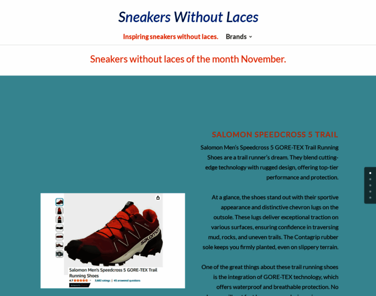 Sneakerswithoutlaces.com thumbnail