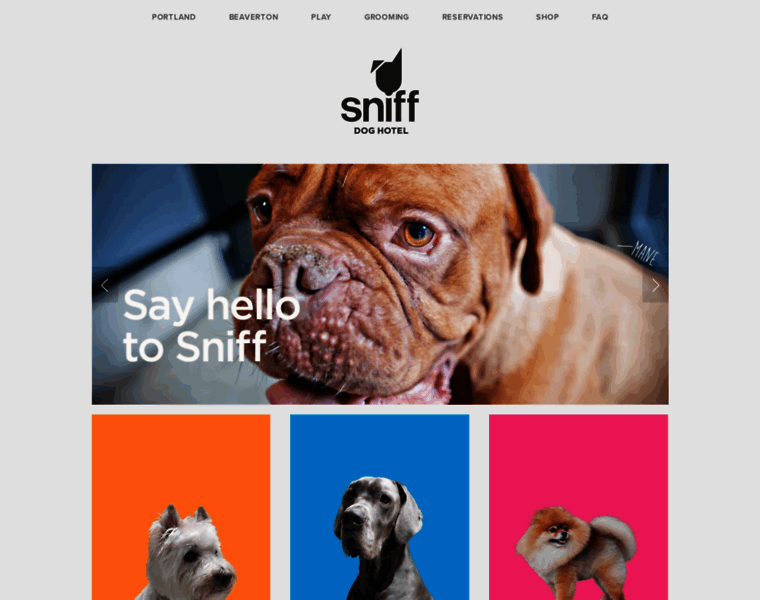 Sniffdoghotel.com thumbnail