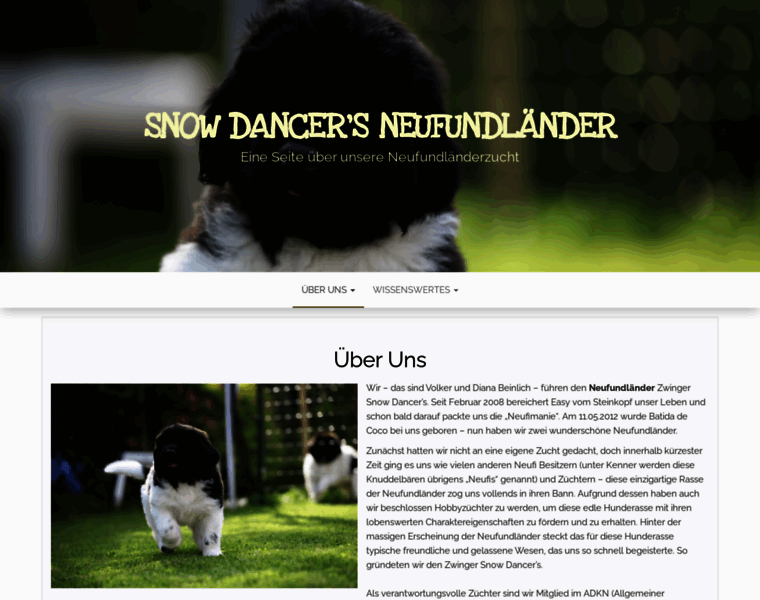 Snowdancers.de thumbnail