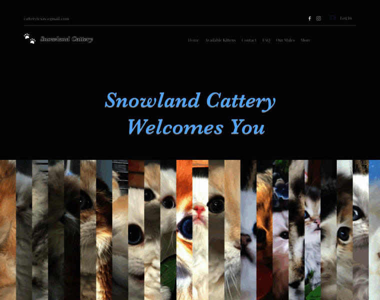 Snowlandcattery.net thumbnail