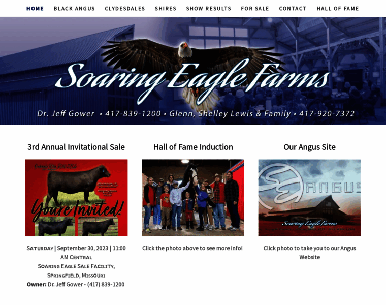 Soaring-eaglefarms.com thumbnail