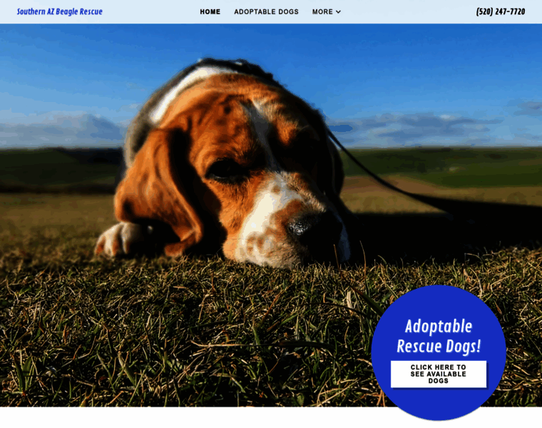 Soazbeaglerescue.com thumbnail