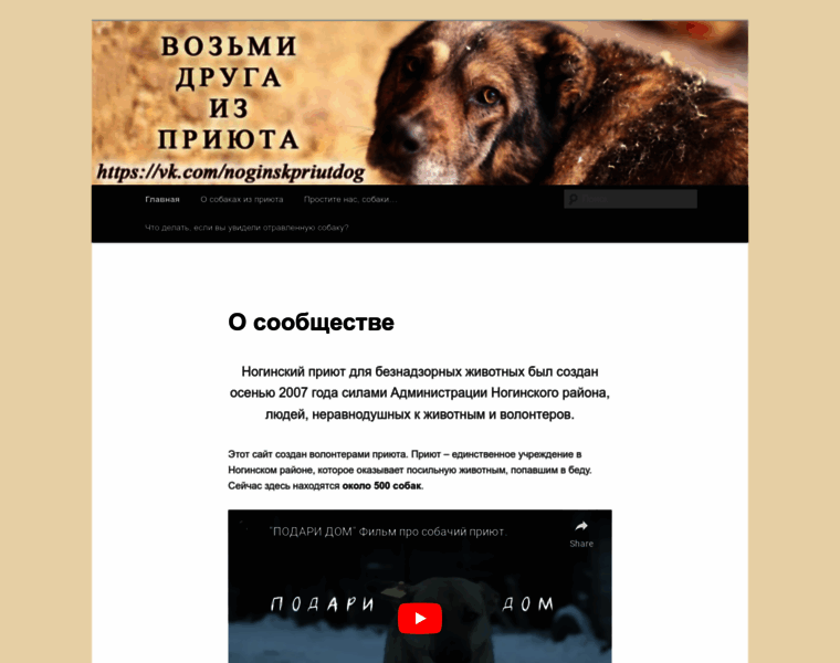 Sobaka-noginsk.ru thumbnail