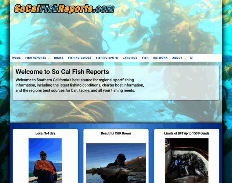 Socalfishreports.com thumbnail