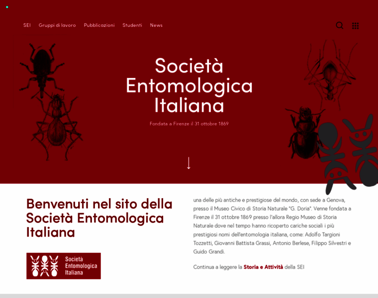 Societaentomologicaitaliana.it thumbnail