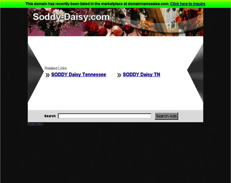 Soddy-daisy.com thumbnail