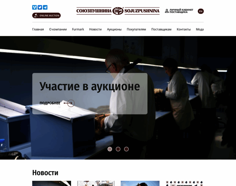 Sojuzpushnina.ru thumbnail