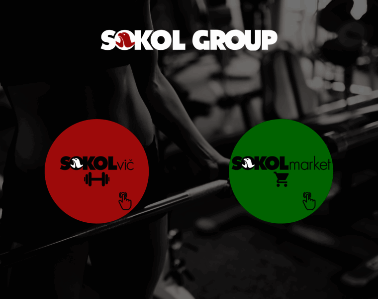 Sokolgroup.com thumbnail