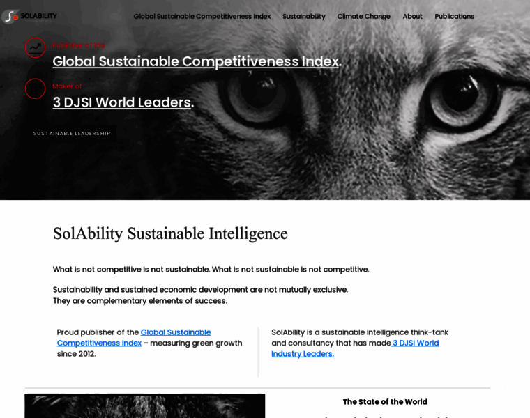Solability.com thumbnail Solability.com thumbnail