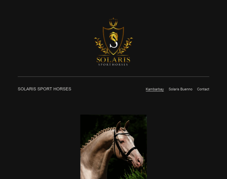 Solaris-sport-horses.co.uk thumbnail