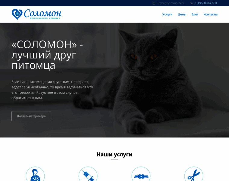Solomonvet.ru thumbnail