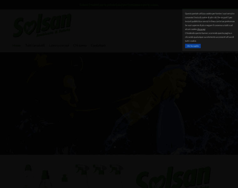 Solsan.it thumbnail