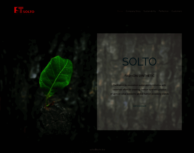 Solto.biz thumbnail