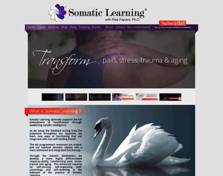 Somaticlearning.com thumbnail