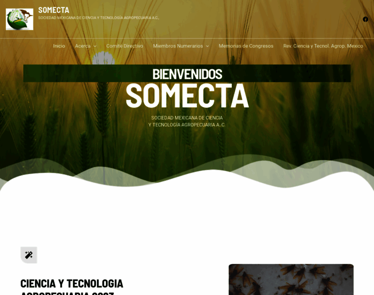 Somecta.org.mx thumbnail