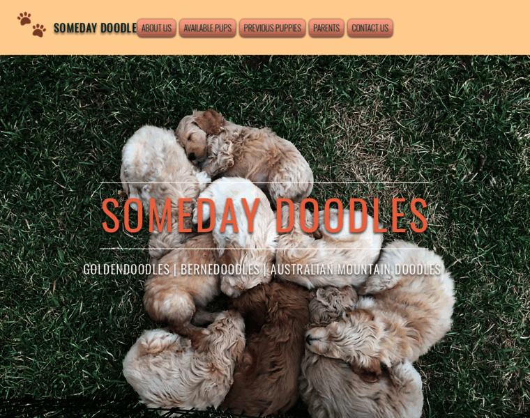 Somedaydoodles.com thumbnail