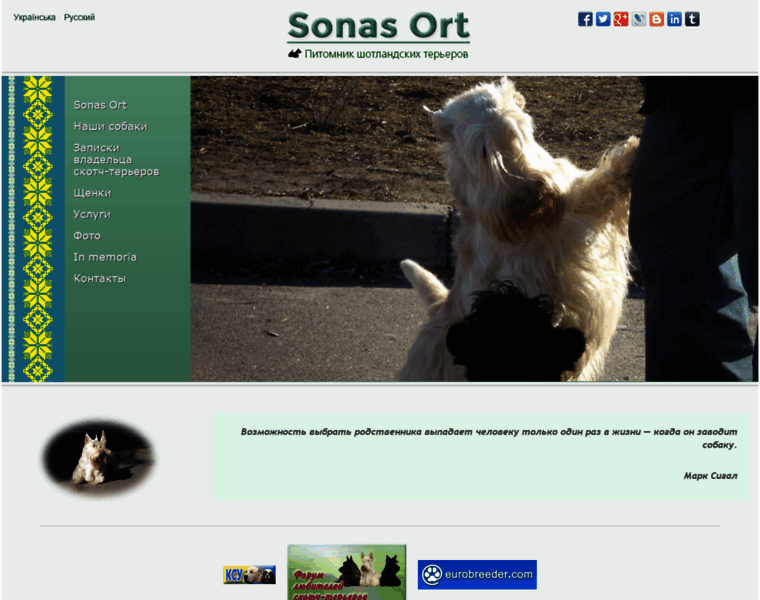 Sonasort.com.ua thumbnail