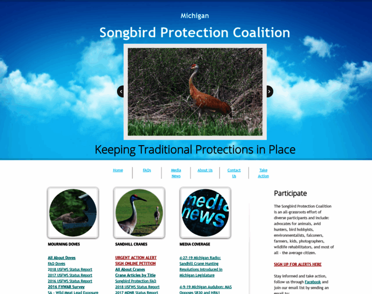 Songbirdprotection.com thumbnail