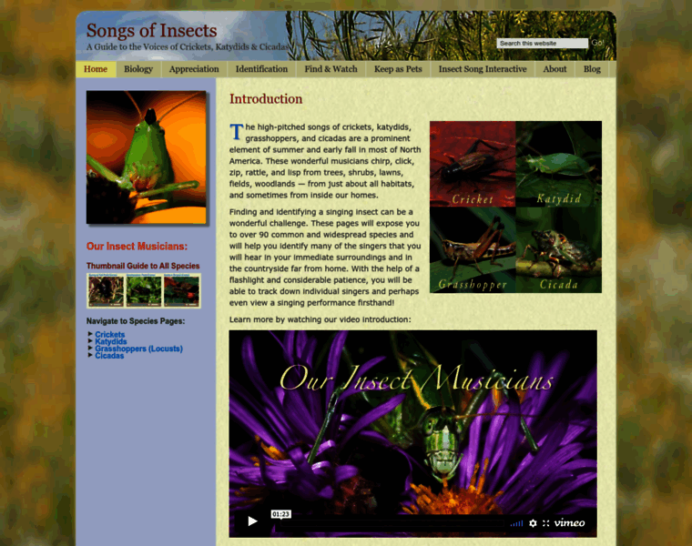 Songsofinsects.com thumbnail