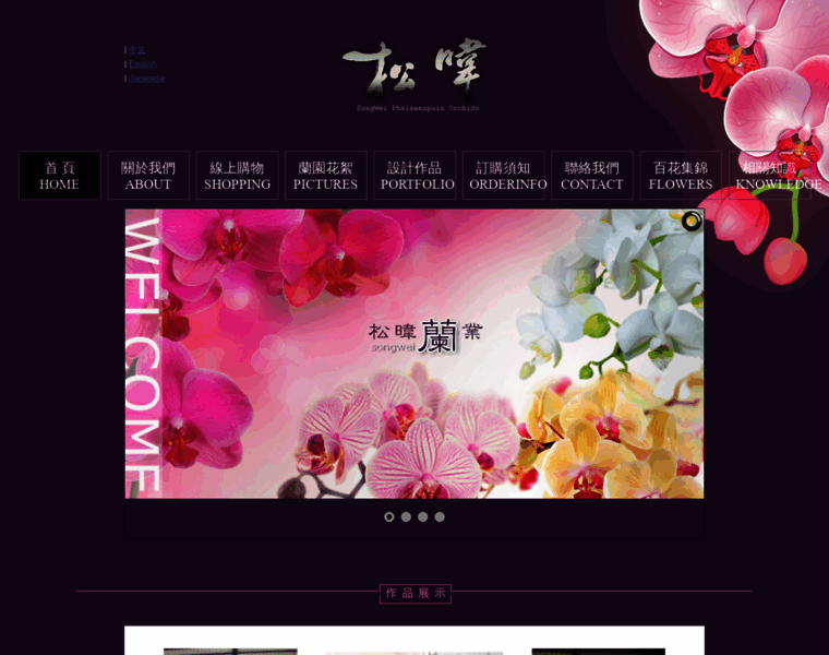 Songwei-orchid.com thumbnail