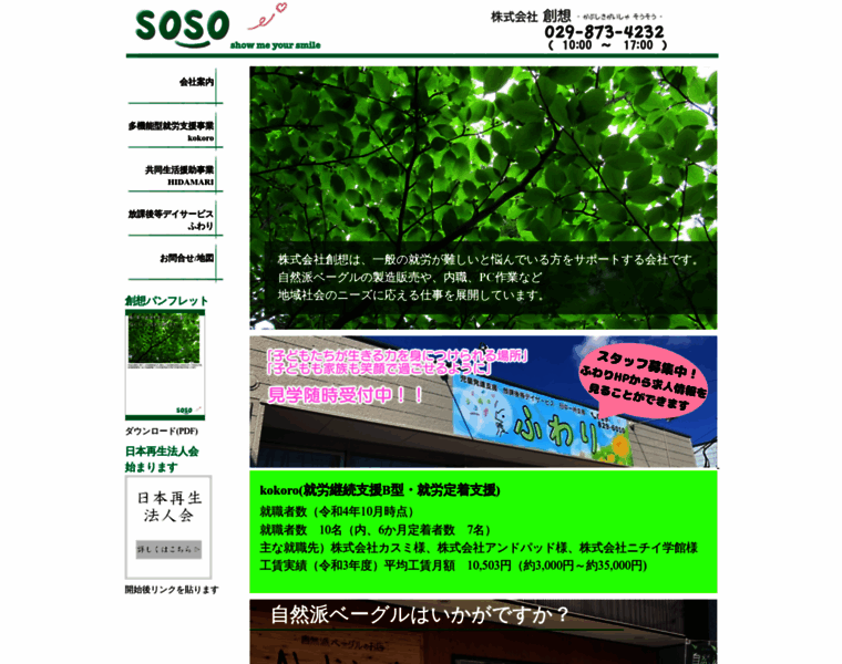 Soso-company.com thumbnail