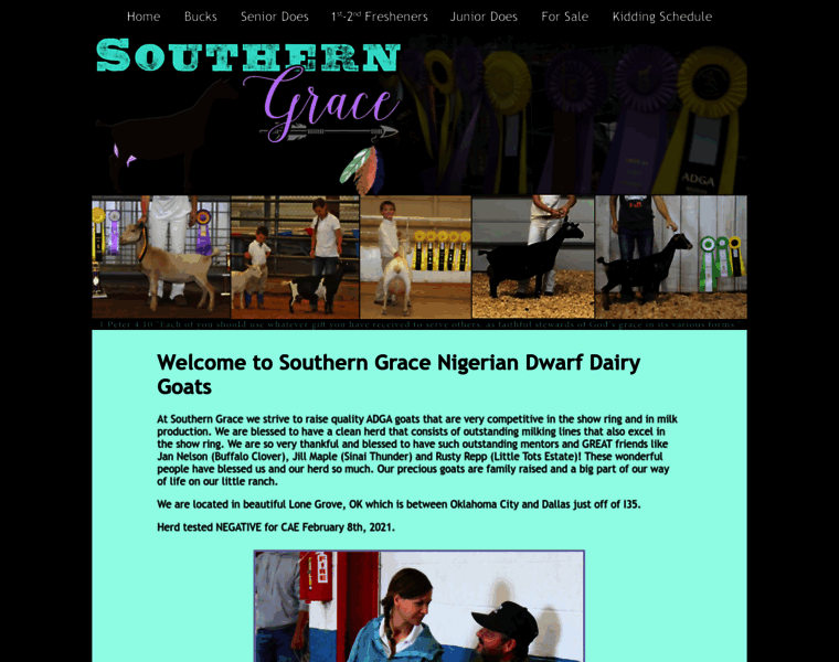 Southerngracenigeriandwarfgoats.com thumbnail