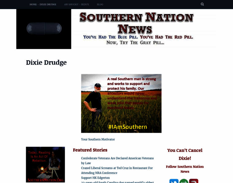 Southernnation.org thumbnail
