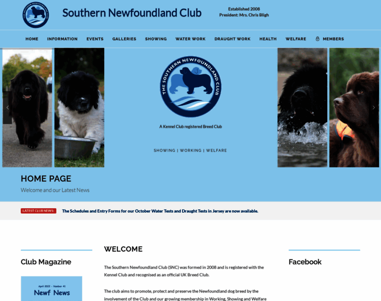 Southernnewfoundlandclub.co.uk thumbnail