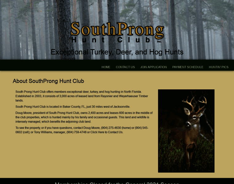 Southpronghunting.com thumbnail