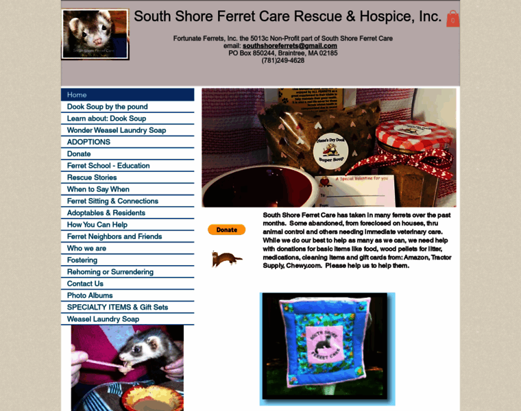 Southshoreferretcare.org thumbnail
