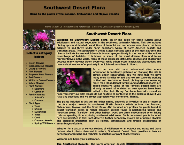 Southwestdesertflora.com thumbnail