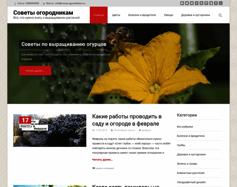 Sovety-ogorodnikam.ru thumbnail