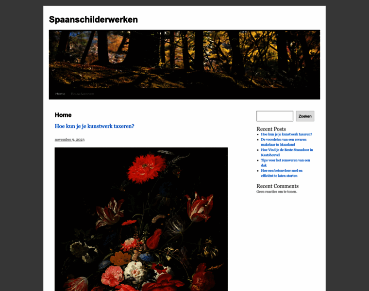 Spaanschilderwerken.nl thumbnail
