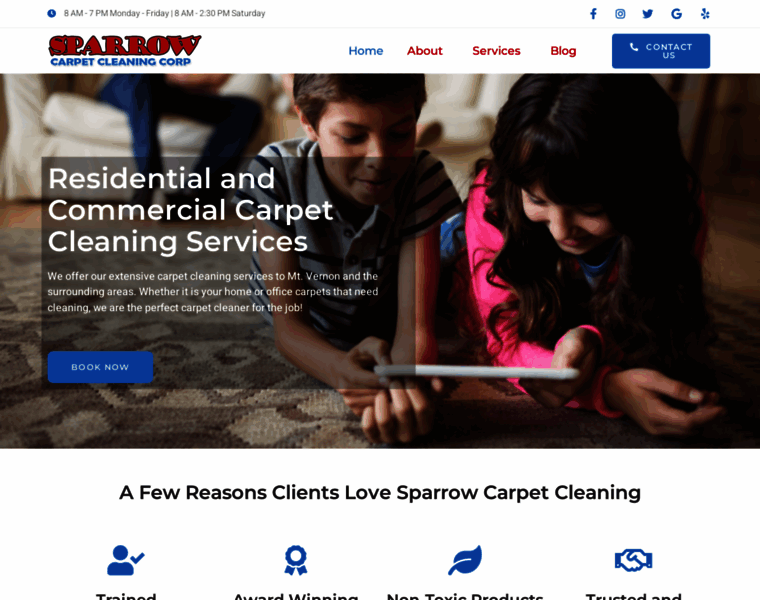 Sparrowcarpetcleaning.co thumbnail